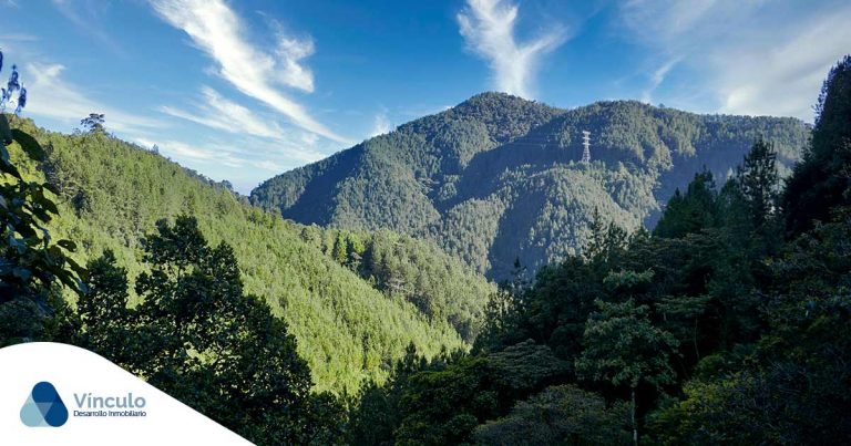 vivir en la naturaleza